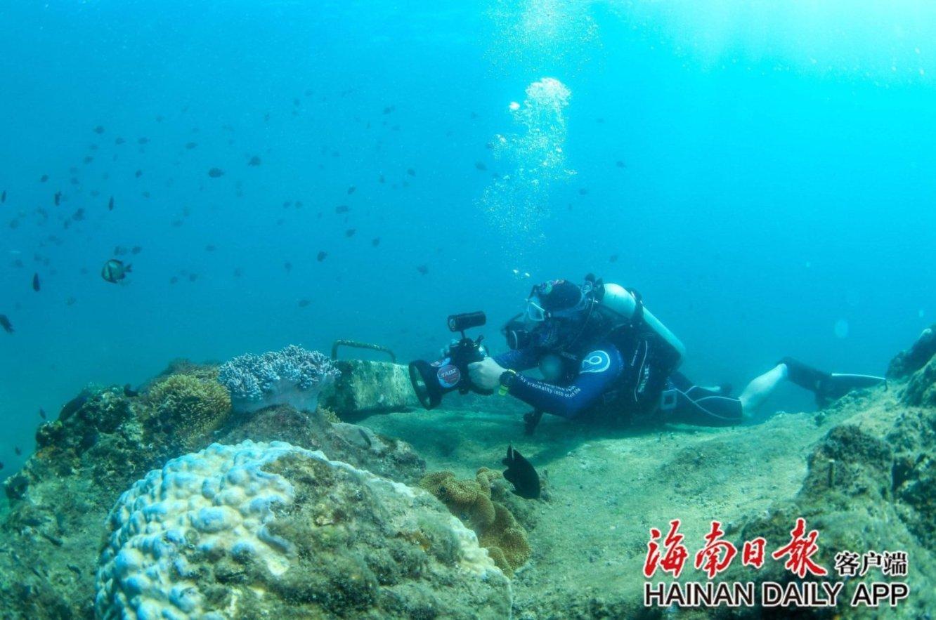 2021年社保基数上调需补缴，但是11月份换了工作，要怎么补缴？