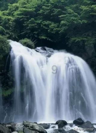 全民剧本大师内置菜单
